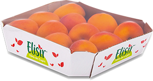 ALBICOCCHE ELISIR 