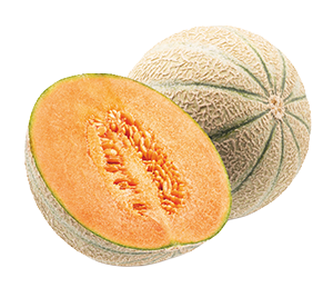 MELONI RETATI