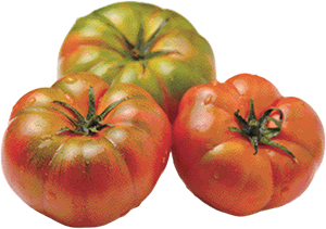 POMODORO COSTOLUTO