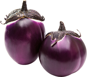 MELANZANE VIOLA