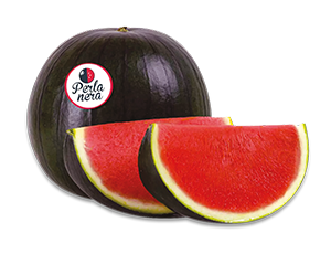 ANGURIA PERLA NERA