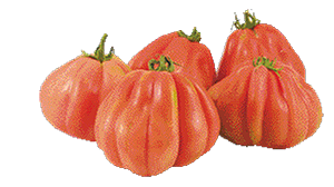 POMODORO CUORE DI BUE