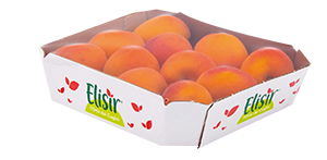 ALBICOCCHE ELISIR