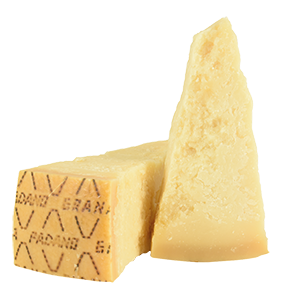 GRANA PADANO RISERVA DOP 20 MESI 