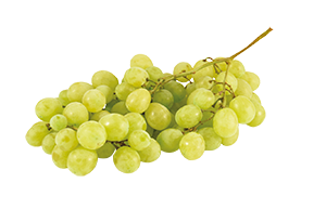 UVA ITALIA BIANCA