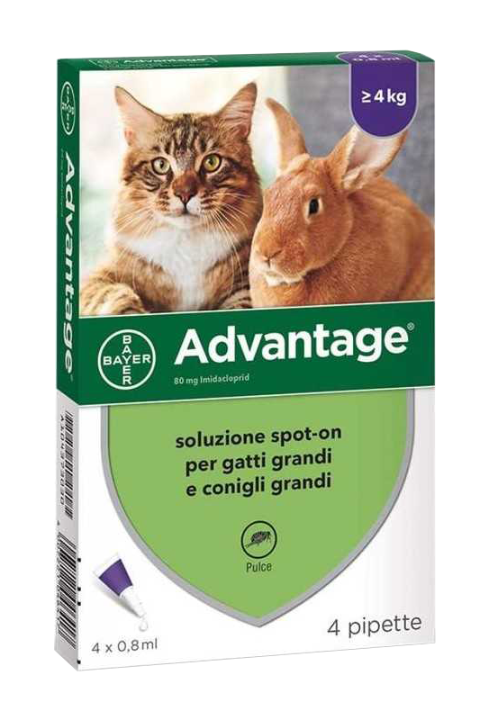 Pipette gatti / conigli 80mg
