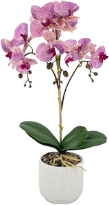 VASO ORCHIDEA COLORI ASSORTITI