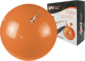 PALLA GINNICA GYMLINE