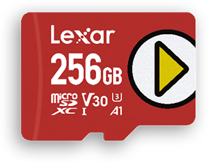 MICRO SD 256GB
