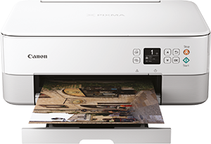 PIXMA TS5351i