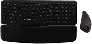 ERGONOMIC KEYBOARD & MOUSE COMBO