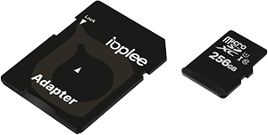 MICRO SD 256GB