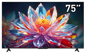 SMART TV QLED 75T6C