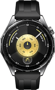 GT6 46MM