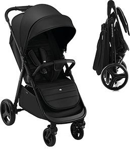 PASSEGGINO RINE CLASSIC BLACK 