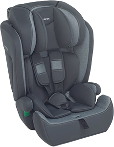 SEGGIOLINO AUTO BABYROAD SILVER 