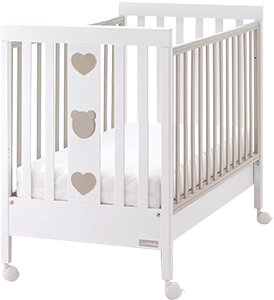 LETTINO BEAR TORTORA