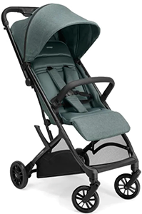 PASSEGGINO SKETCH PINE GREEN