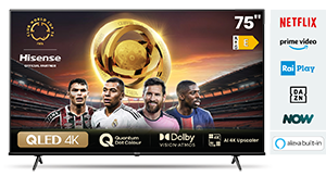 TV QLED 75” 4K QLED Display 75E79NQ