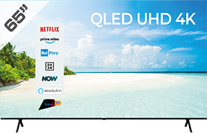 TV QLED 65” UHD 4K 65E79NQ