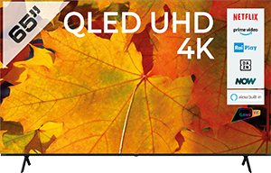 TV QLED 65” UHD 4K 65E79