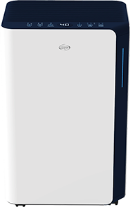 DEUMIDIFICATORE DRY PURY EVO WF 21