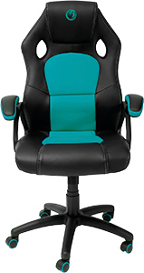 SEDIA DA GAMING ERGONOMICA PCCH-310