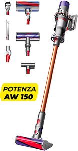 CYCLONE V10 Absolute