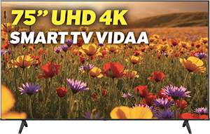 TV LED 75” UHD 4K 75A69Q