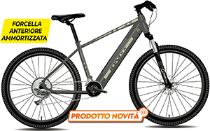 E-MTB IONIXX