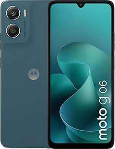g06