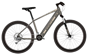 E-MTB 27MTB10AB