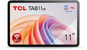 TAB 11 FE