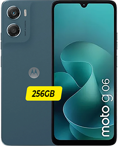 g 06