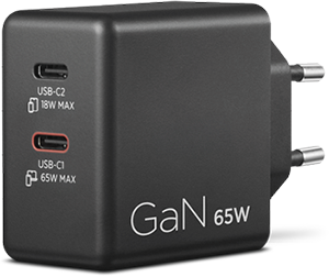 Dual Charger