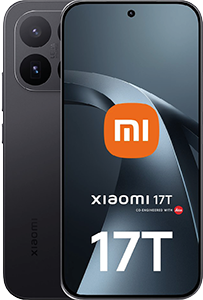 17T