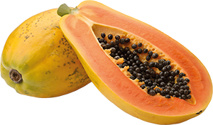 Papaia