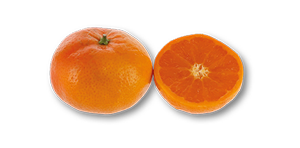 Clementina do Algarve IGP AUCHAN