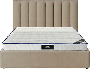 AUSSIE II + SPRING ROLLER