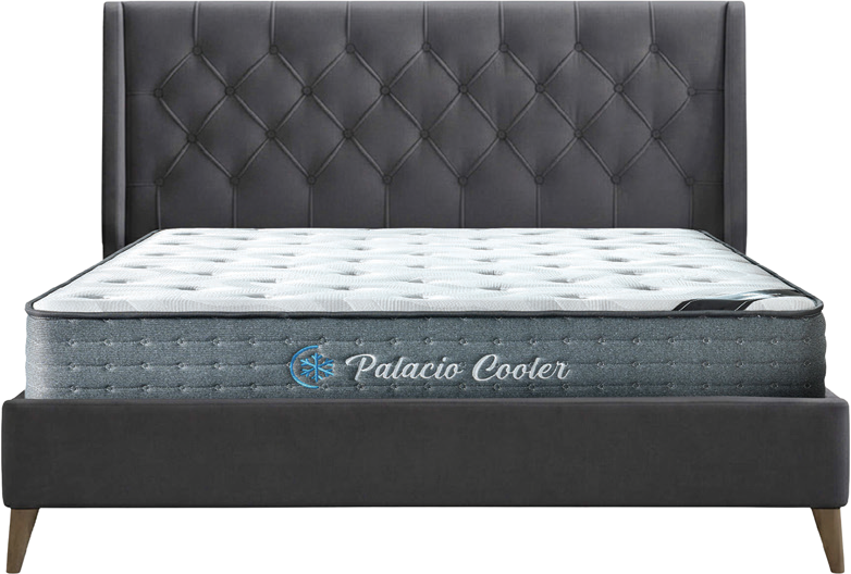 ILO + PALACIO COOLER