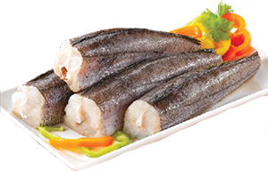 PESCADA-DO-SENEGAL MÉDIA
