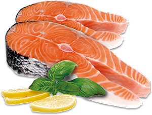Salmão 2/3