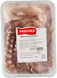 Tentáculos de Pota