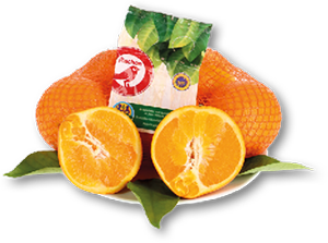 Laranja do Algarve IGP AUCHAN