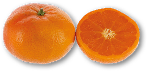 Clementina do Algarve AUCHAN