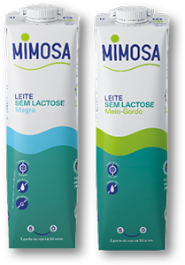 Leite UHT Bem Especial MIMOSA