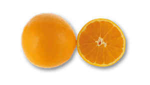 Laranja do Algarve IGP AUCHAN