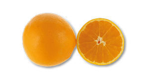 Laranja do Algarve IGP AUCHAN