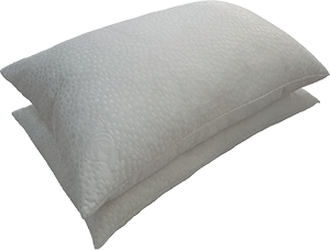 Pack 2 Almofadas HOMESPECIAL Sofias