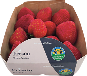 Morango AUCHAN COLLECTION 